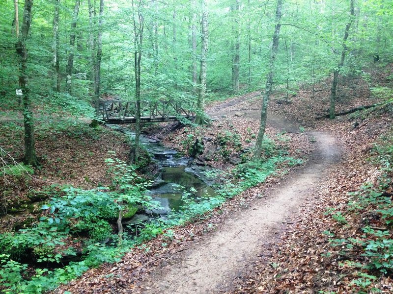 Intersection of Ye Olde Trail, Yellow Jacket, and Lake View.  Pulaski Eagle Scout Trails