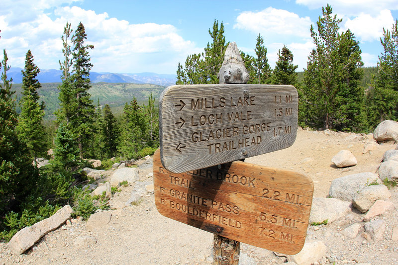 Y junction trail sign (photo by daveynin)