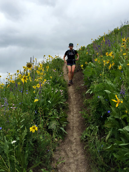 Running through overhead wildflowers on the final descent.  (photo by Shana Light)