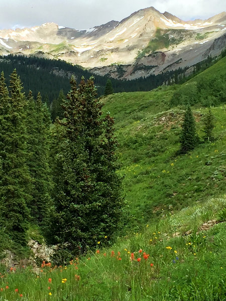 Scenery continues to open up near top of climb. (photo by Shana Light)