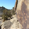 A glimpse of the petroglyphs.