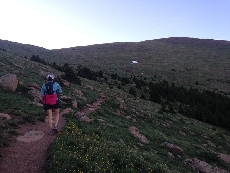 Leaving the trees and approaching the steepest section of the trail