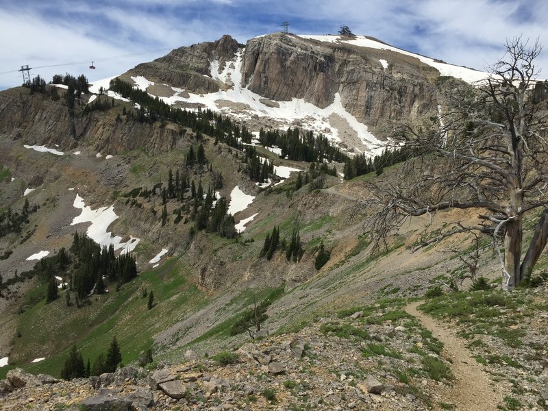 View looking up towards the top of the Jackson Hole Mountain Resort Aerial Tram, where the Rendezvous Mountain Hillclimb finishes.  This picture taken midway up the Headwall along the Cirque Trail