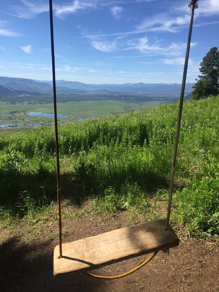 The swing just off the Wildflower Trail