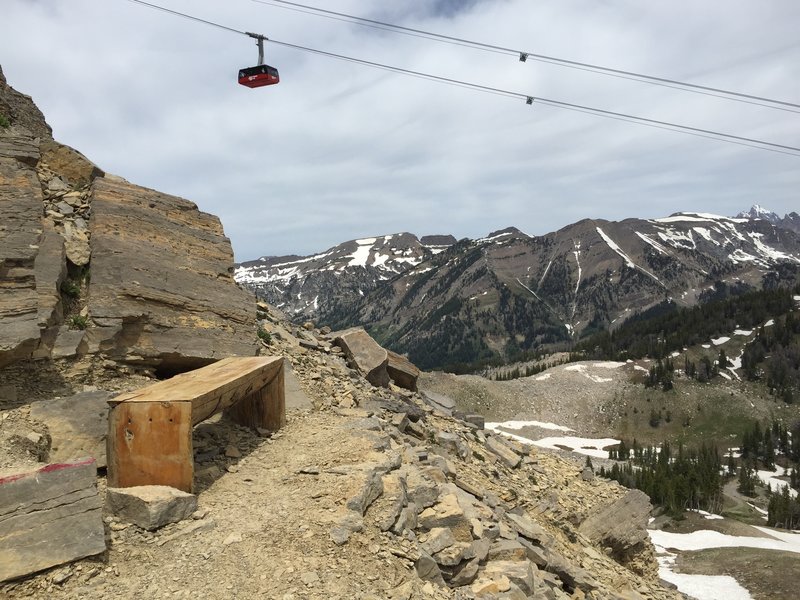 The bench on the East Ridge section of the Cirque Trail, just before the "red rock" scramble section.