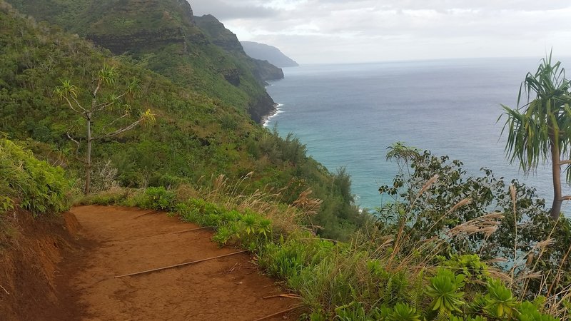 Dirt portion of trail, on cliff's edge