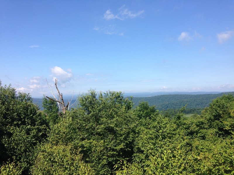 While the trail traverses many ridges, there are few spots to look out over the land.