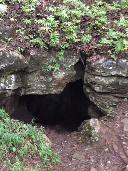 Entrance to Cold Spring Cave