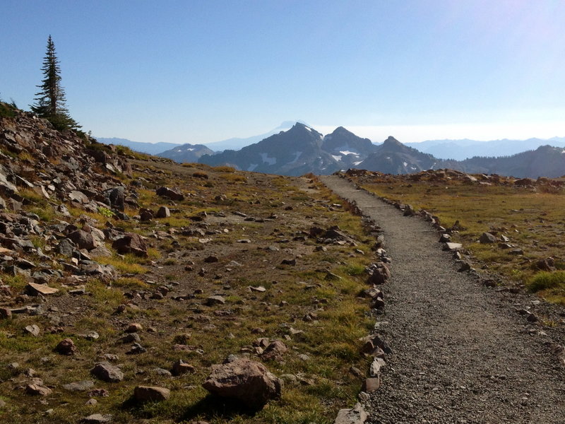 Leaving the High Skyline Trail for the Pebble Creek Trail