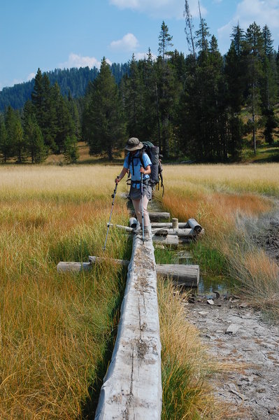 Yellowstone, Bechler River Trail