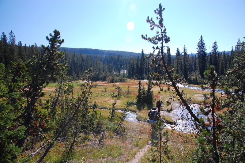 Bechler River Trail