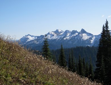 Tatoosh Range from near Mildred Point (photo by Brewbooks)