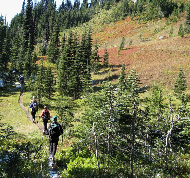 Heading to the Mildred Point trail junction (photo by Brewbooks)