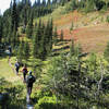 Heading to the Mildred Point trail junction (photo by Brewbooks)