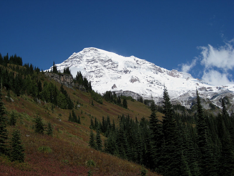 Mount Rainier from near Van Trump Park (photo by Brewbooks)