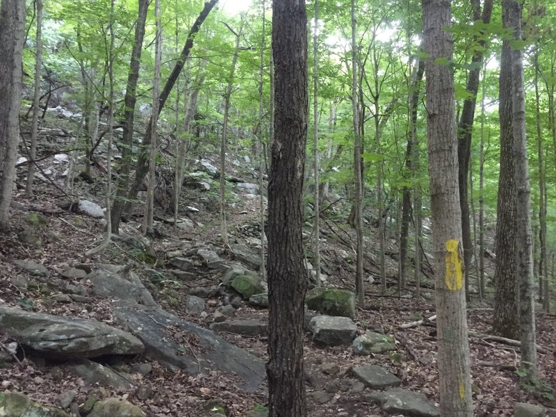 Start of the Incline up to "Rest Shelter"