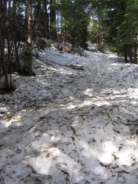 Narada Falls trail with snow