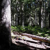 On the trail to Lake Eleanor (photo by brewbooks)