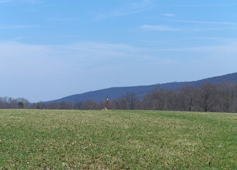 Northerly view of South Mountain highlands