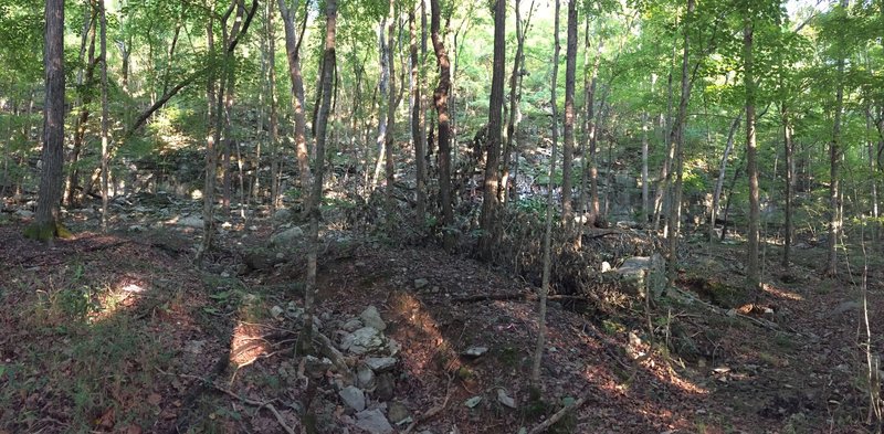 Natural Bench at the north end of the Bushwhacker Johnson Trail.