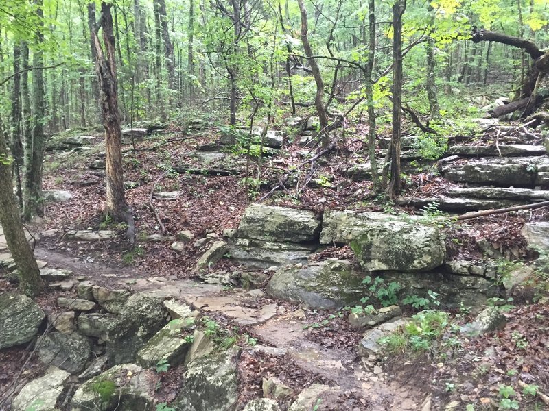A well constructed stone section of the Dummy Line Trail over a creek bed.