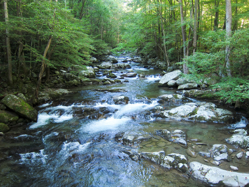 Big Creek in Great Smoky Mountains National Park