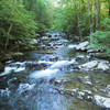 Big Creek in Great Smoky Mountains National Park