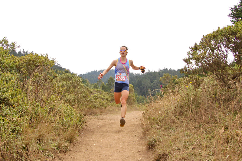 Bombing down Dipsea Trail