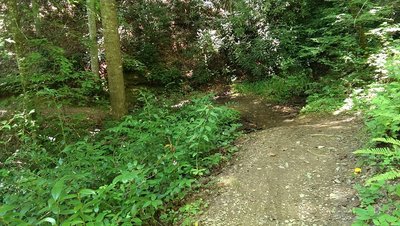 One of many switchbacks