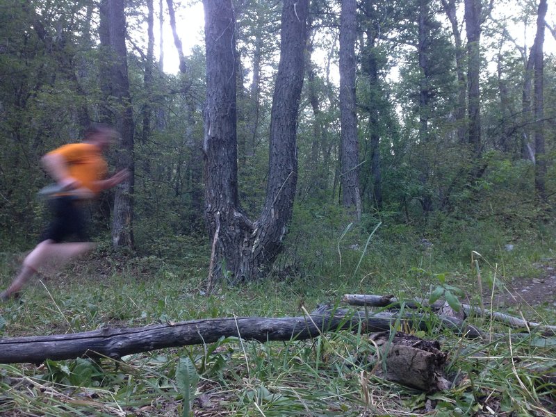 No, I'm not very fast - I just suck at taking pictures. This is near a small campsite right before the trail crosses the creek and switches over to just singletrack.