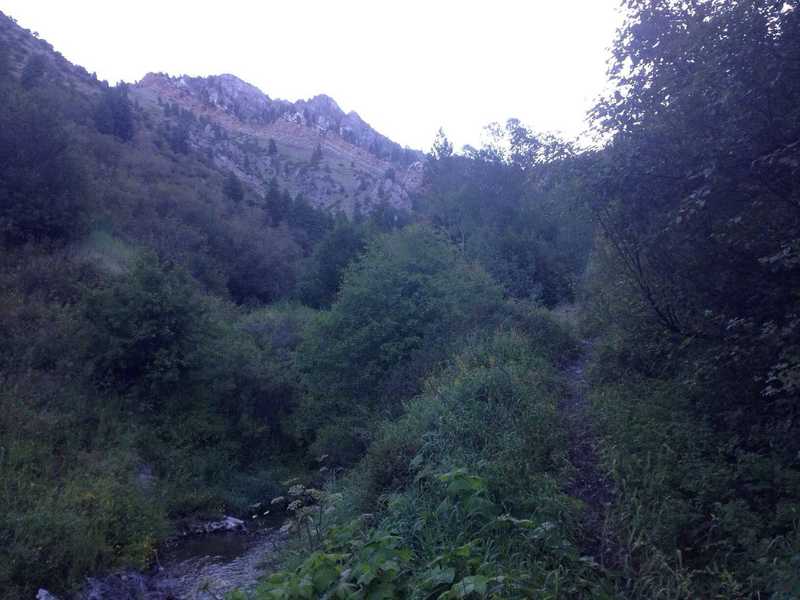 A view from the trail of the creek and a band of multicolored cliffs