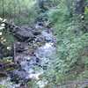 A view of Birch Creek rambling over rocks and fallen trees