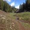 A view of the trail as it meanders through the meadow by the stream