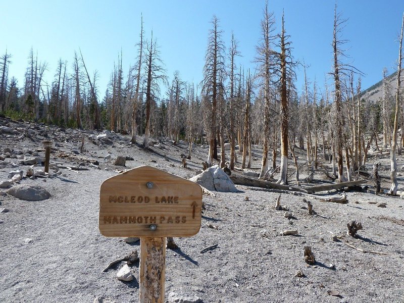 Trailhead sign to McCloud Lake