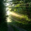 Sunrise on the Bruce Trail