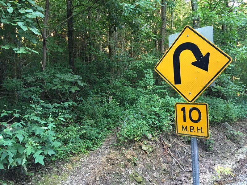 From the Cold Spring Trail the entrance to the Toll Gate Trail is hidden.  Look for this curve road sign for the trailhead.