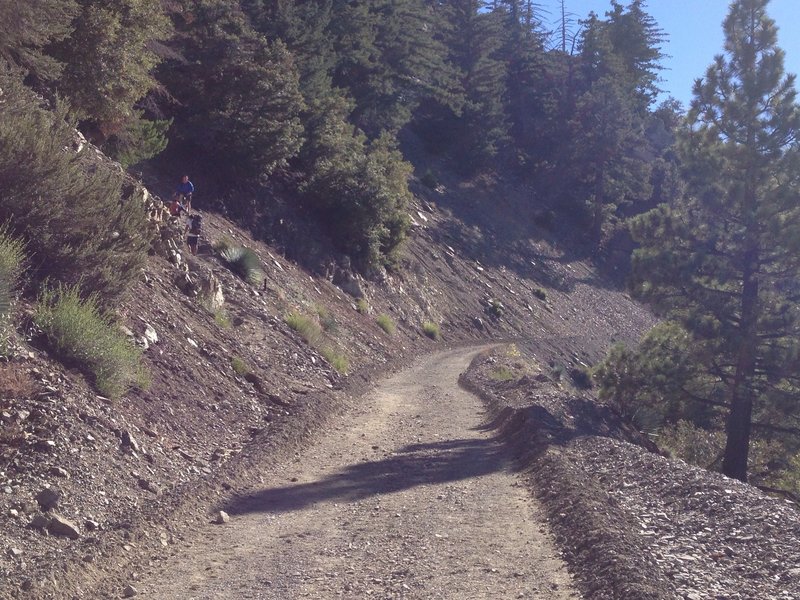 This is where the trail to the summit breaks off from the fire road (on the left) - it's easy to miss!