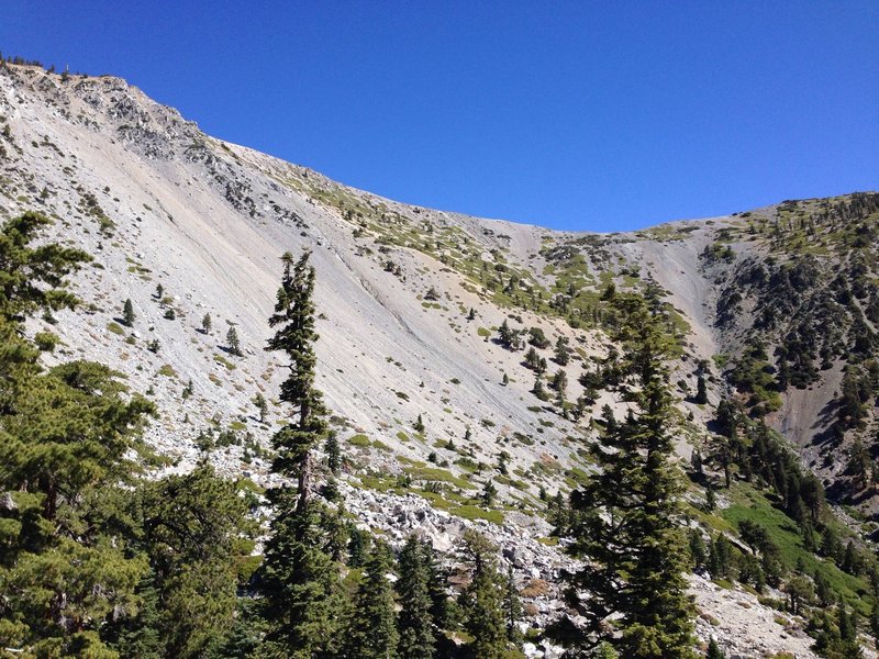 Looking toward the summit and ridge.