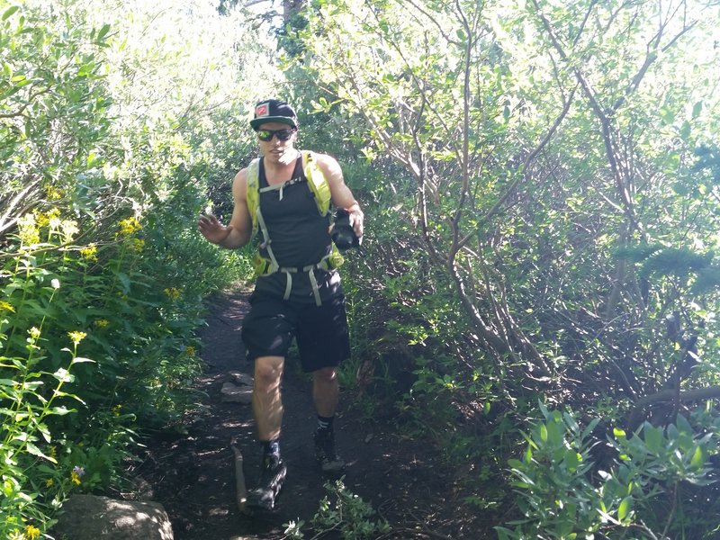 The trail gets tight in the bushes in multiple spots.