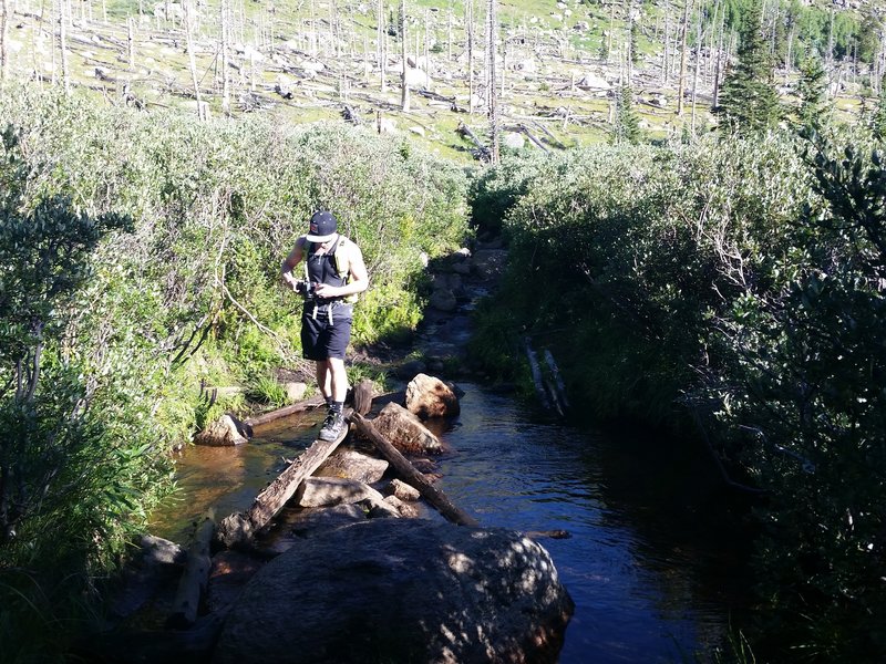 Log and rock bridge. Watch your footing!