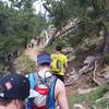 Trail can get crowded in between the trailhead and the Chicago Creek crossing.