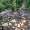 There are several long soft sections of the trail. SLOPPY! Look for bypass trails!