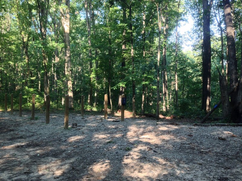 The terminus of the Wet Prong Trail. The Buffalo Creek Trail enters from the left, the Collie Ridge Trail starts behind me and the Wet Prong begins to the right. And there is a trash can here!