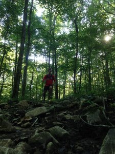 On the rocky descent