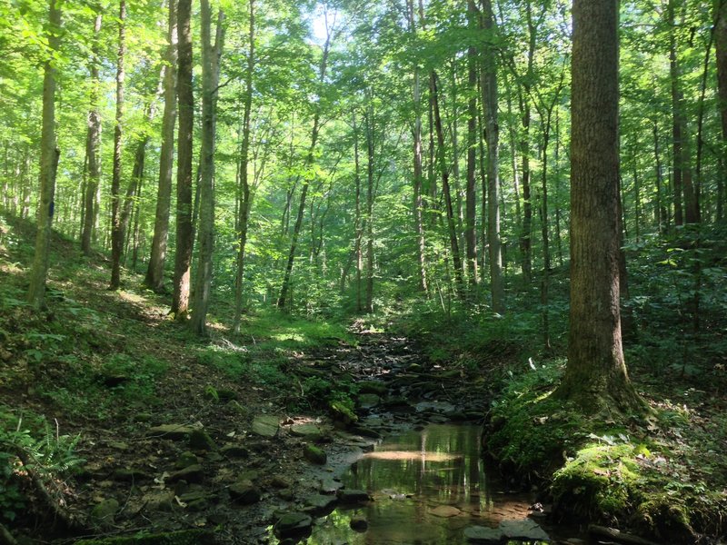 Creek crossing!