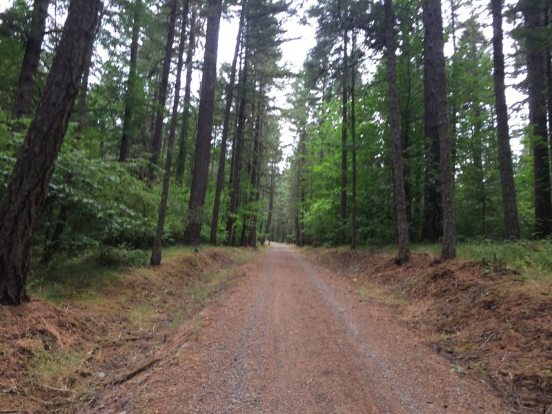 Start of the climb on the 770 Rd.