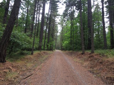 Start of the climb on the 770 Rd.