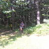 Crossing Skyline Drive at mile 8 (approx.) of LTT during the 2015 Lost Turkey Trail Ultra.