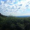 Barely seen is Blue Knob off in the distance, on the far left partially blocked by foliage.  As you run this section you'll have a few occasions to see out across the valley, but no true vistas are available.