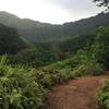 The trail near a ridgetop